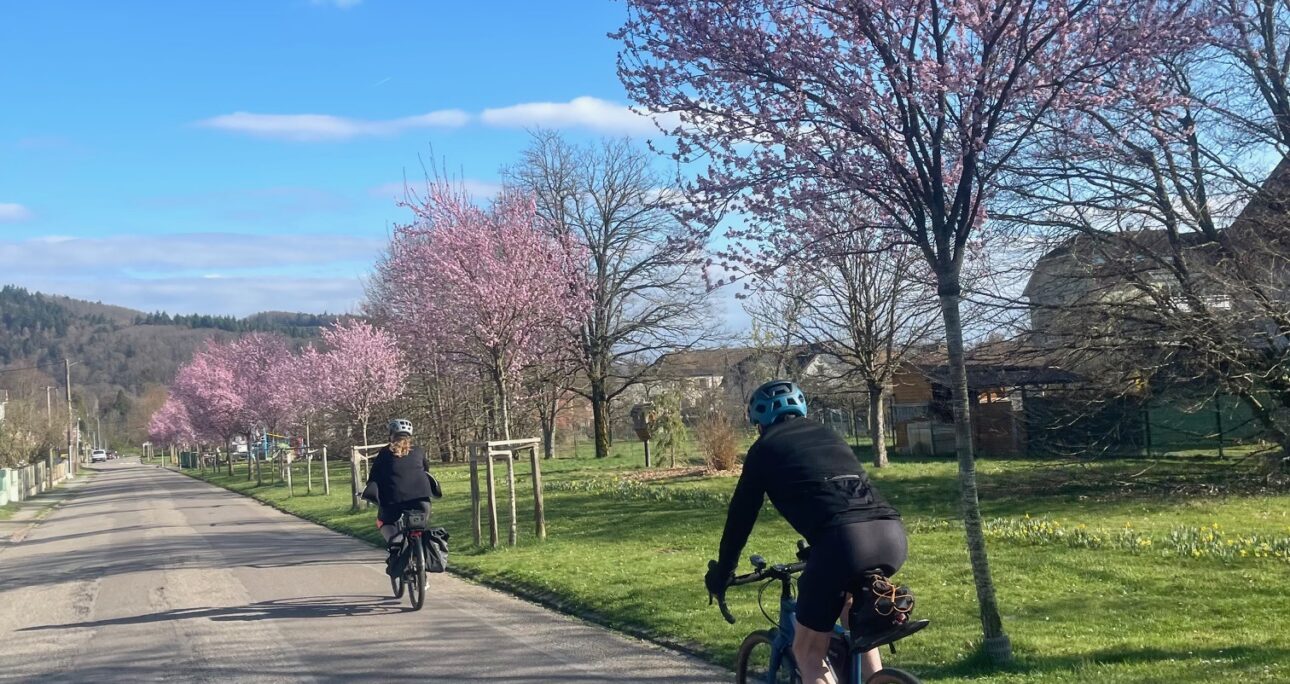 Une envie de promenade?