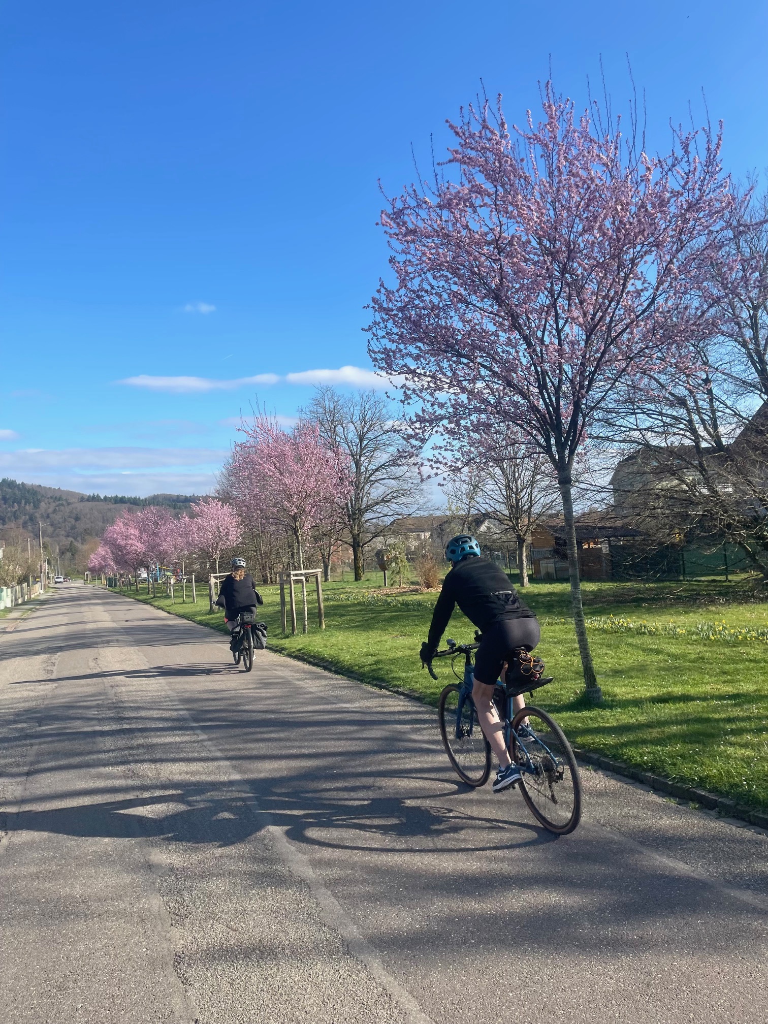 Une envie de promenade?