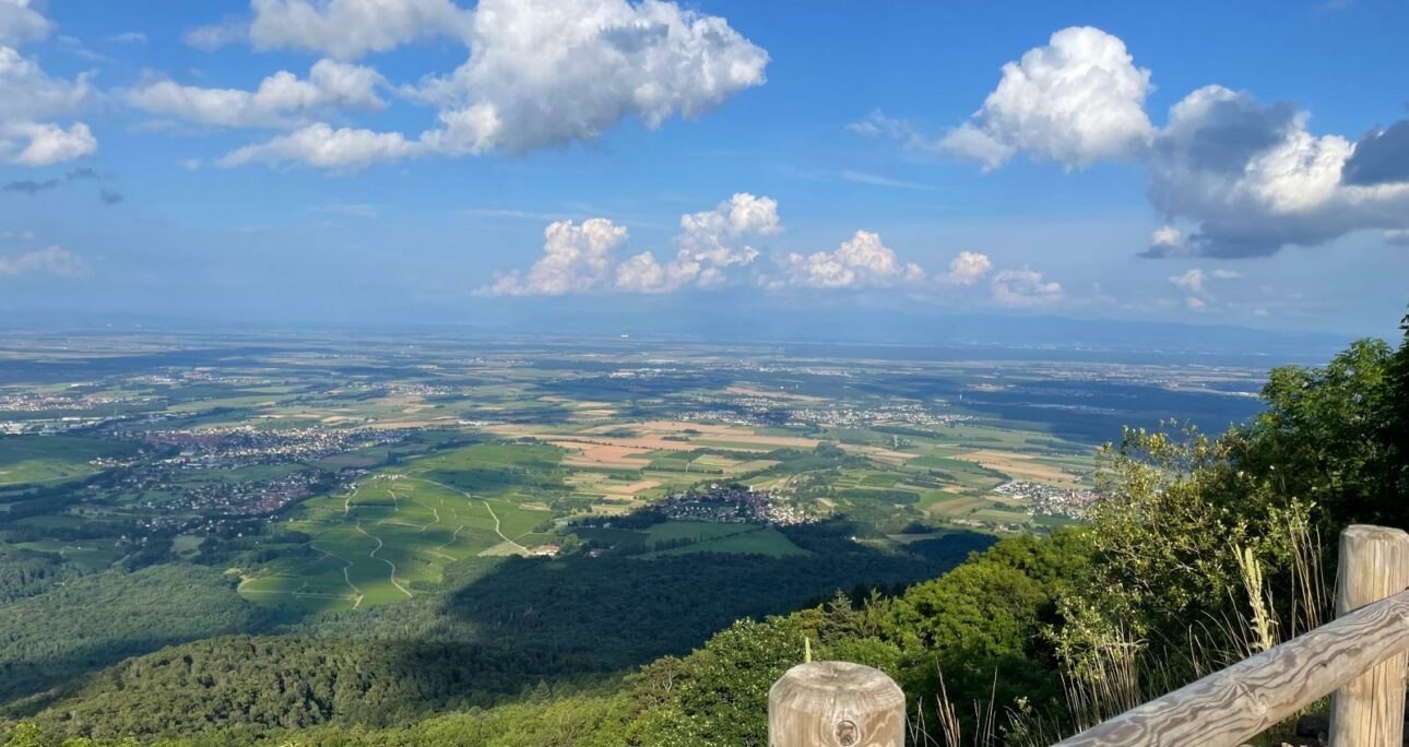 Le Hartmannswillerkopf